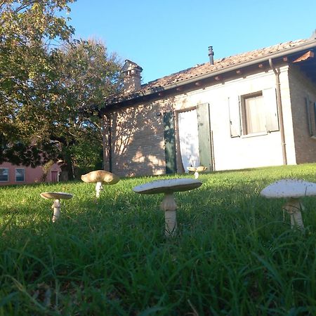 Agriturismo Fondo Novelle La Casina Ferrara Bagian luar foto