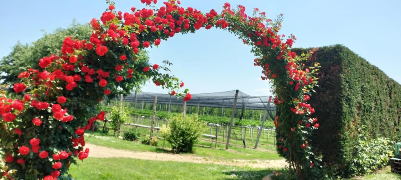 Agriturismo Fondo Novelle La Casina Ferrara Bagian luar foto