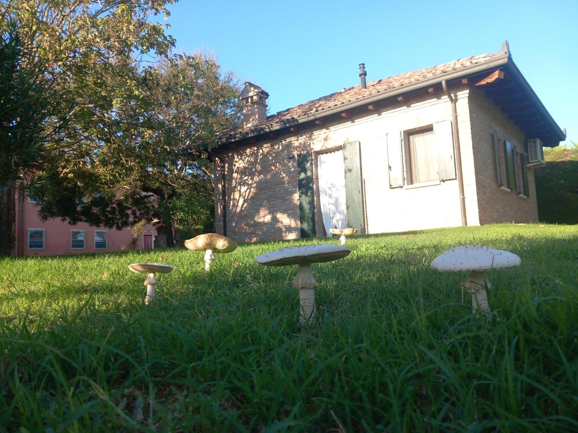 Agriturismo Fondo Novelle La Casina Ferrara Bagian luar foto