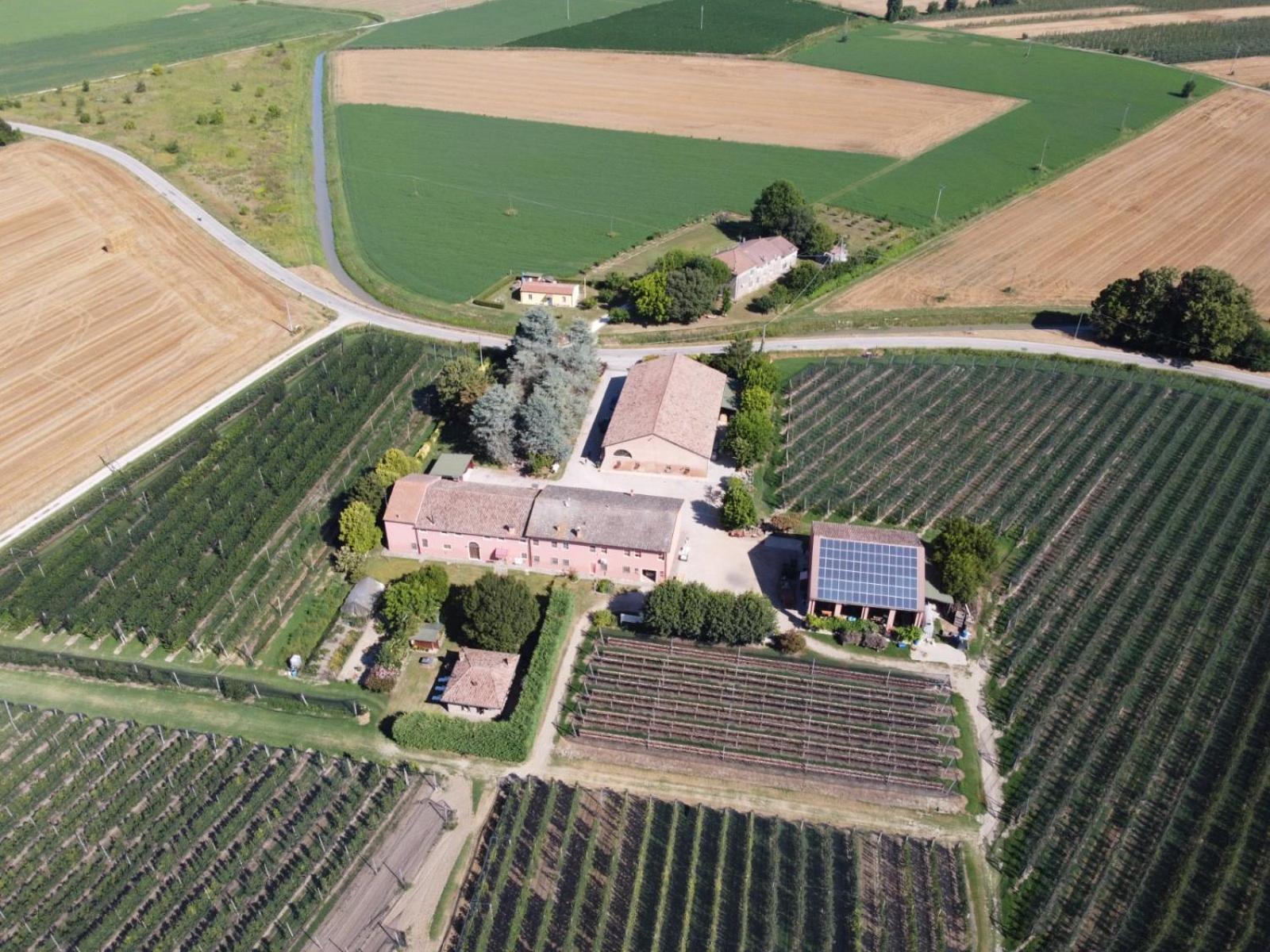 Agriturismo Fondo Novelle La Casina Ferrara Bagian luar foto